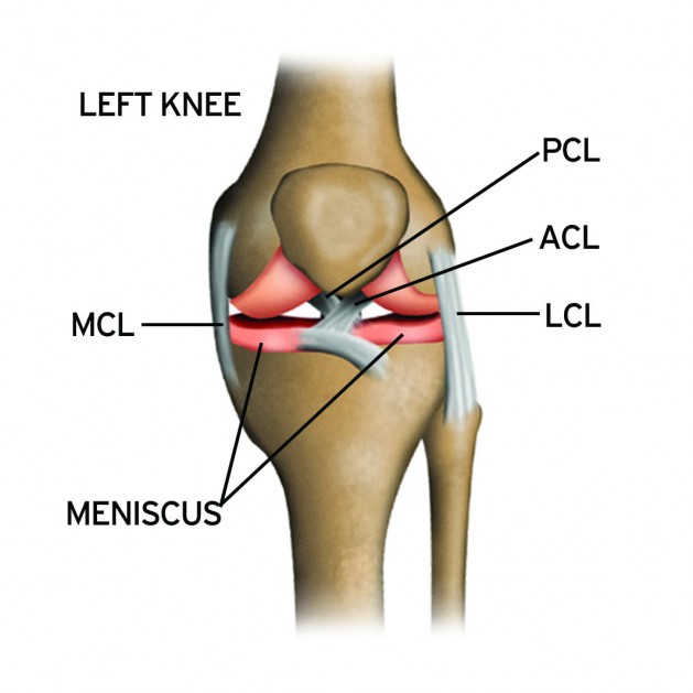 acl ligament tear treatment kochi, ernkaulam, kerala